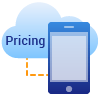 Our pricing models