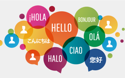 Additional Languages added to Sportlomo Platform